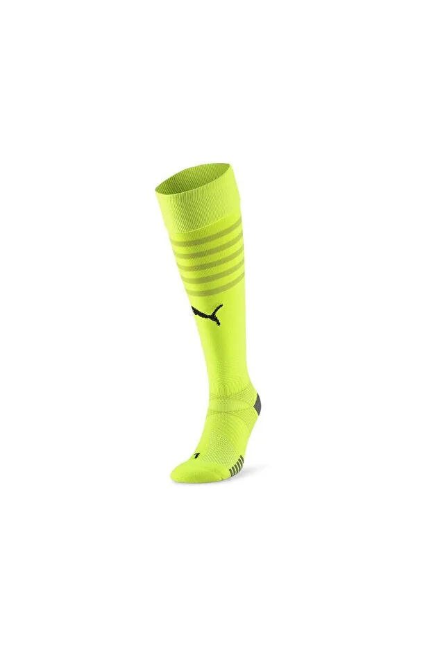 Puma Teamfinal Socks Football Dust Cover70531322 Green